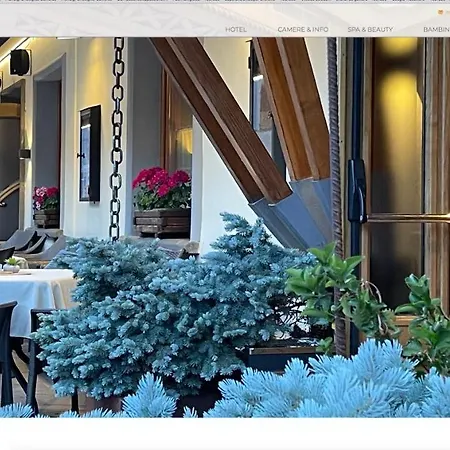 酒店 意大利酒店 卡斯特罗迪费耶美