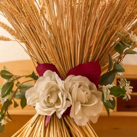 意大利酒店 3* 卡斯特罗迪费耶美